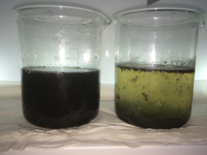 Livestock effluent